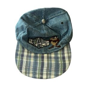 1996 Taz looney tunes baseball hat